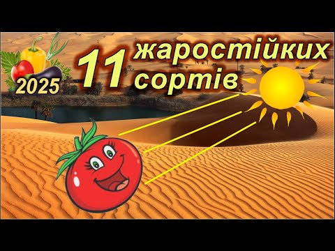 Видео: 11 ЖАРОСТІЙКИХ сортів томатів, які витримують спеку і посуху