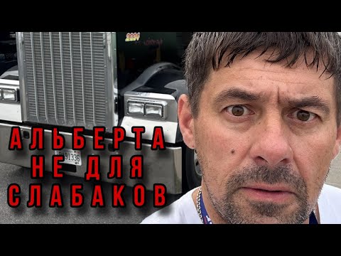 Видео: Альберта не для слабаков Канада иммигрант говорит правду иммиграция в Канаду