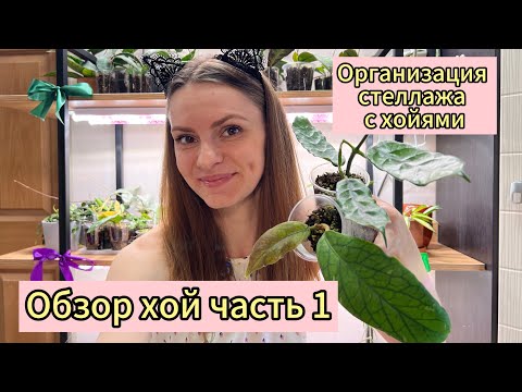 Видео: ОБЗОР ХОЙ ЧАСТЬ 1 | организация стеллажа