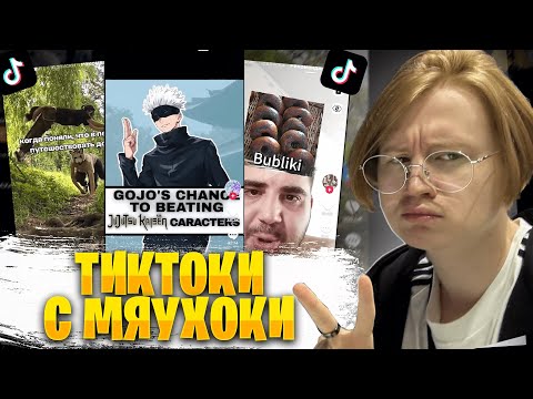 Видео: ТИКТОК УГАРАЕТ с МЯУХОКИ