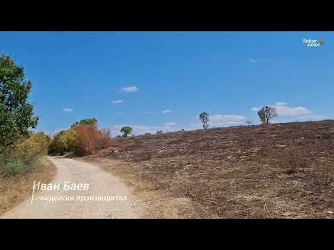 Видео: Ще се сети ли държавата, че има щети след пожар?
