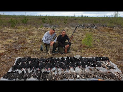 Видео: 1 серия Охота на утку (турпан) в Якутии Duck hunting of Yakutia Russia