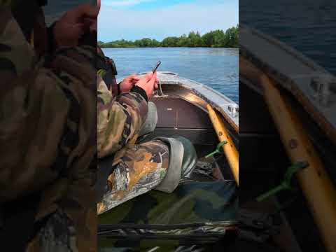 Видео: Лодка wyatboat 390р и мотор HDX 15 винт стандарт