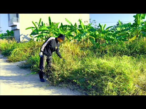 Видео: Люди говорили, что нам бесполезно убирать этот газон, но потом они устроили здесь ярмарку