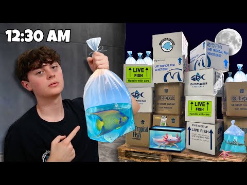 Видео: СРОЧНАЯ РАСПАКОВКА РЫБЫ НА 20 000 ДОЛЛАРОВ! (Очень поздно)