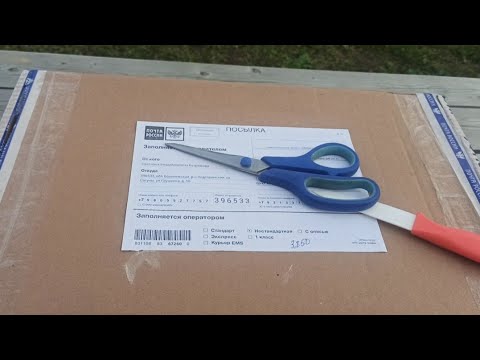 Видео: Розы-уценка от Бутримовых!