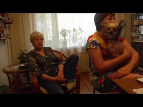 Видео: У Оксаны в гостях. Вкусный обед, приятное чаепитие.