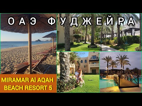 Видео: Miramar Al Aqah Beach Resort в Фуджейре в ОАЭ – обзор отличного отеля на берегу Индийского океана