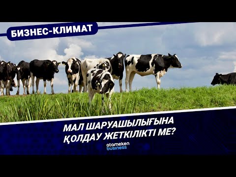Видео: МАЛ ШАРУАШЫЛЫҒЫНА ҚОЛДАУ ЖЕТКІЛІКТІ МЕ? | БИЗНЕС КЛИМАТ | 31.10.2025