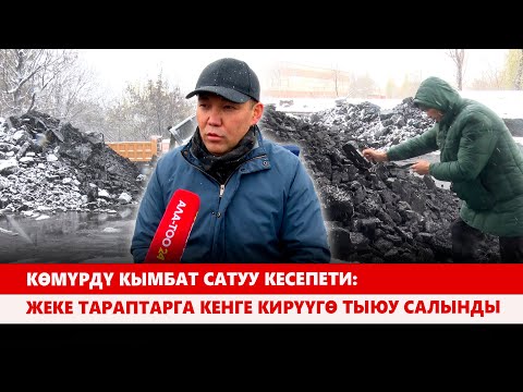 Видео: Көмүргө бурулган көңүл: Бааны каалагандай калчагандарга чара көрүлөт