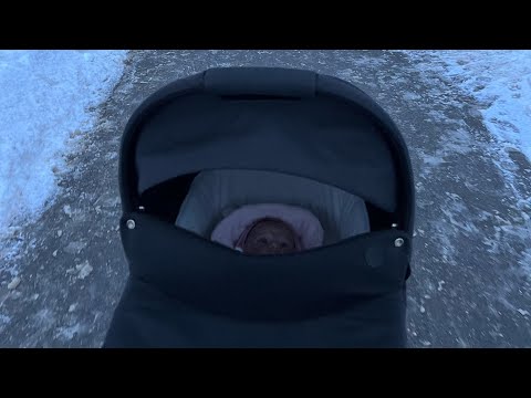 Видео: Влог с реборном!💕🛍️Прогулка по парку! Новые покупки 🛍️💕