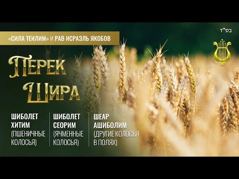 Видео: 🎻 ПЕРЕК ШИРА. Шират hа-Брия (Песнь Творения). Урок 29. Рав Исраэль Якобов