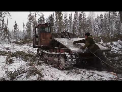 Видео: Поглотитель леса!!! Трелевщик ТДТ - 55