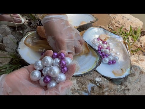 Видео: невероятный! Я никогда не видел такой огромной жемчужины, по сравнению с фиолетовой жемчужиной