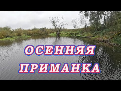 Видео: Надо знать какие приманки ставить! Осенняя рыбалка, когда рыба не берёт!