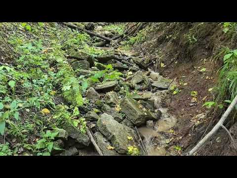 Видео: Водоскат родники. Последние дни лета 2025 год. 28. 08. 2025 год.