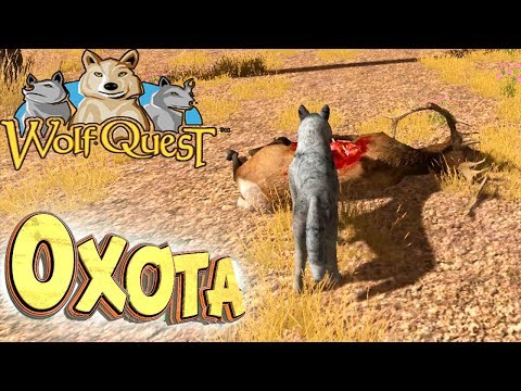 Видео: ОХОТА На Оленя И Брошенный ГОРОД - WolfQuest #5