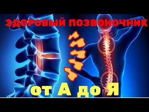 Видео: Здоровый позвоночник от А до Я. часть 2: осанка!