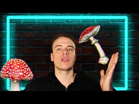 Видео: МУХОМОР ЛУЧШАЯ ДОБАВКА КОТОРАЯ ТОЛЬКО ЕСТЬ ! Мой опыт !