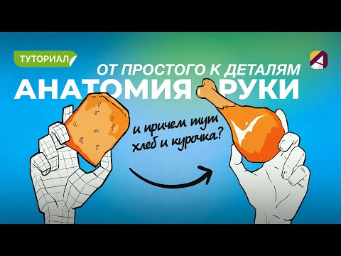 Видео: Как рисовать руки? Урок от простого к сложному