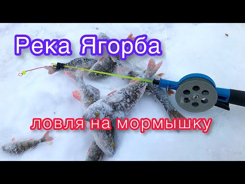 Видео: Ловля на мормышку река Ягорба Зимняя рыбалка 🎣