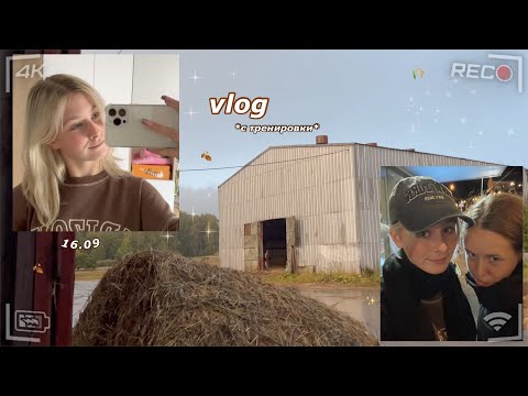 Видео: VLOG с конюшни🍂 как проходит моя тренировка🐴 Поход в магазин в 23:00🥱