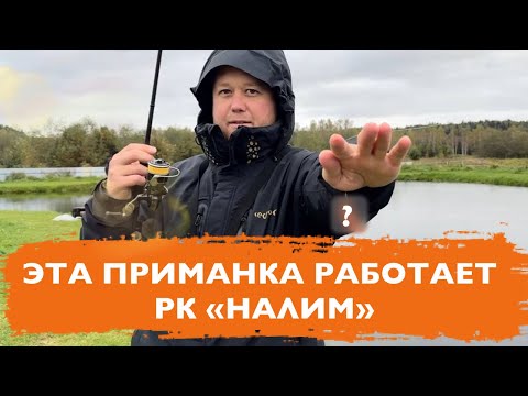 Видео: #20 РАЗЛОВИЛ НОВУЮ РЕЗИНУ. РЫБАЛКА НА ФОРЕЛЬ В РК НАЛИМ. 