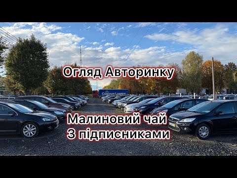 Видео: На які автомобілі варто звернути увагу в середньому бюджеті?!🤝@Avtostvol 