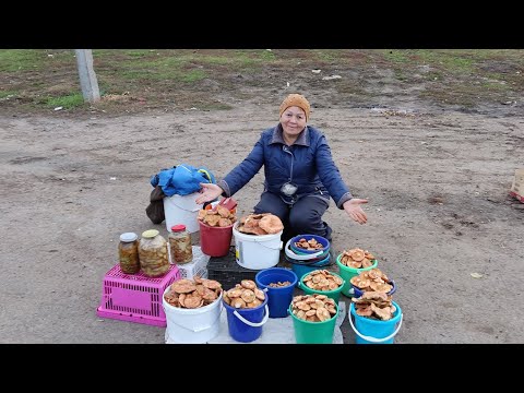 Видео: РЫЖИКИ.Торговля на трассе.Сама собираю, сама солю, сама продаю.