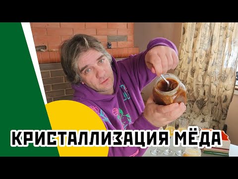 Видео: Кристаллизация меда: секреты и мифы