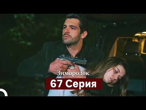 Видео: Зимородок 67 Cерия (Русский дубляж)