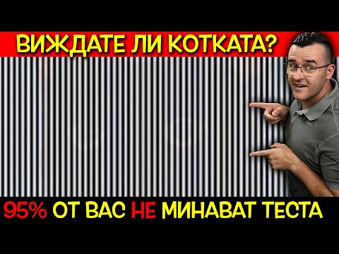 Видео: 11 ИЛЮЗИИ, които ЩЕ СЧУПЯТ МОЗЪКА ВИ