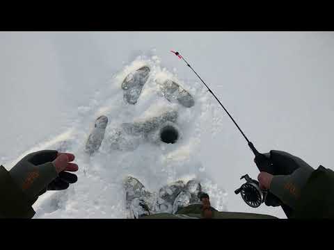 Видео: Ловля окуня на балансиры в глухозимье.