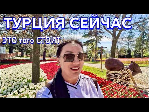 Видео: Турция 2024. Стамбул - город контрастов❗️Парк Эмирган Круиз по Босфору ЕДА ТЮЛЬПАНЫ. Стамбул 2024