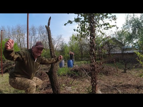 Видео: ЖИВОТ НА СЕЛО: КАК СЕ ПРЕБОРИХМЕ С ГНЕЗДА НА СТЪРШЕЛИ , НЕВОЛИ С КЛАДЕНЕЦА РАБОТА ПО ДВОРА / LINE D5