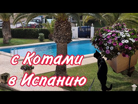 Видео: Прилетели в Солнечную Испанию🌞🇪🇦Затариваемся🌞Наш Перелет🌞