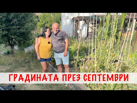 Видео: Разходка в градината през септември | Компост, оранжерия и неочаквани гости.