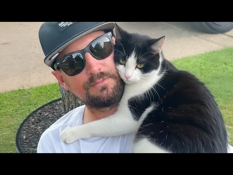 Видео: Кошка влюбилась в мужчину с первого взгляда 😻 Милое видео о кошке и человеке