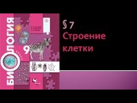 Видео: Биология 9 класс. Строение клетки