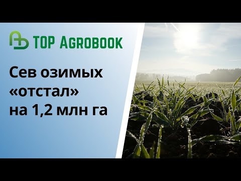 Видео: Сев озимых «отстал» на 1,2 млн га | TOP Agrobook: обзор аграрных новостей