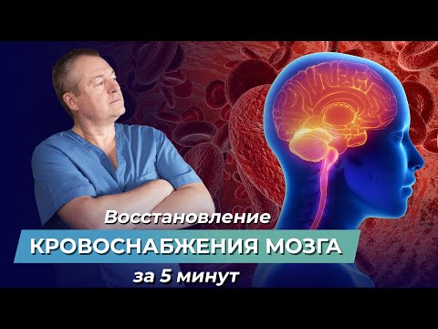 Видео: Как улучшить кровообращение головного мозга? Упражнения для улучшения кровообращения головного мозга