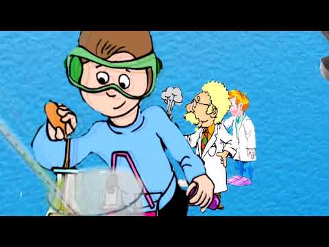 Видео: 56-сабак