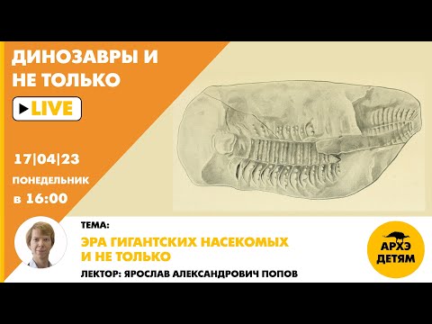 Видео: Занятие "Эра гигантских насекомых и не только" кружка "Динозавры и не только" с Ярославом Поповым