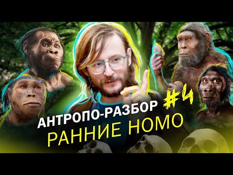 Видео: Ранние Homo. Станислав Дробышевский. #Антропо_разбор 4