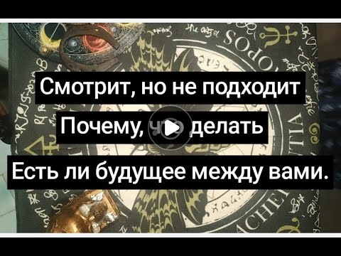 Видео: Смотрит, но не подходит. Проявится ли? Будет ли продолжение?