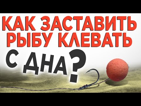 Видео: РЫБА НЕ КЛЮЁТ со дна:  что делать? Ликбез от чемпиона мира по карпфишингу