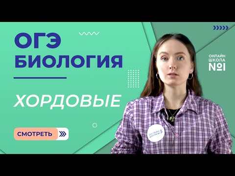 Видео: Тип Хордовые. Биология ОГЭ