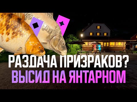 Видео: Послезавтра обновление, а сегодня призраки на Янтарном ● Русская рыбалка 4 ● Перчик РР4