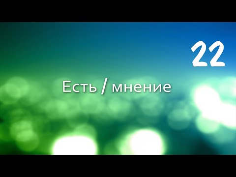 Видео: Вадим Плахотнюк: Есть мнение 22