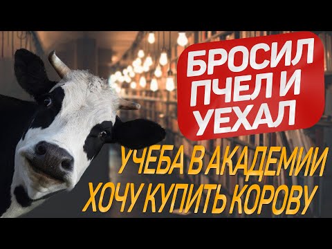 Видео: Опять студент/школа фермера/хлопоты на пасеке/суета на даче